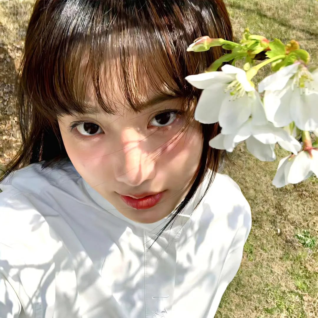 完美琴仇