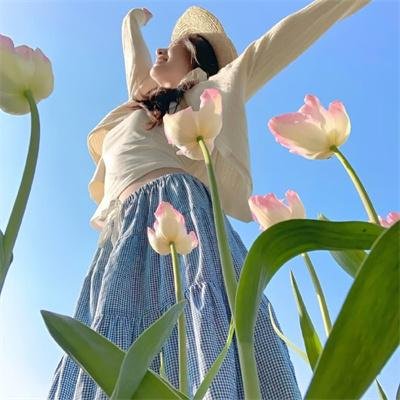 茶乡花正开